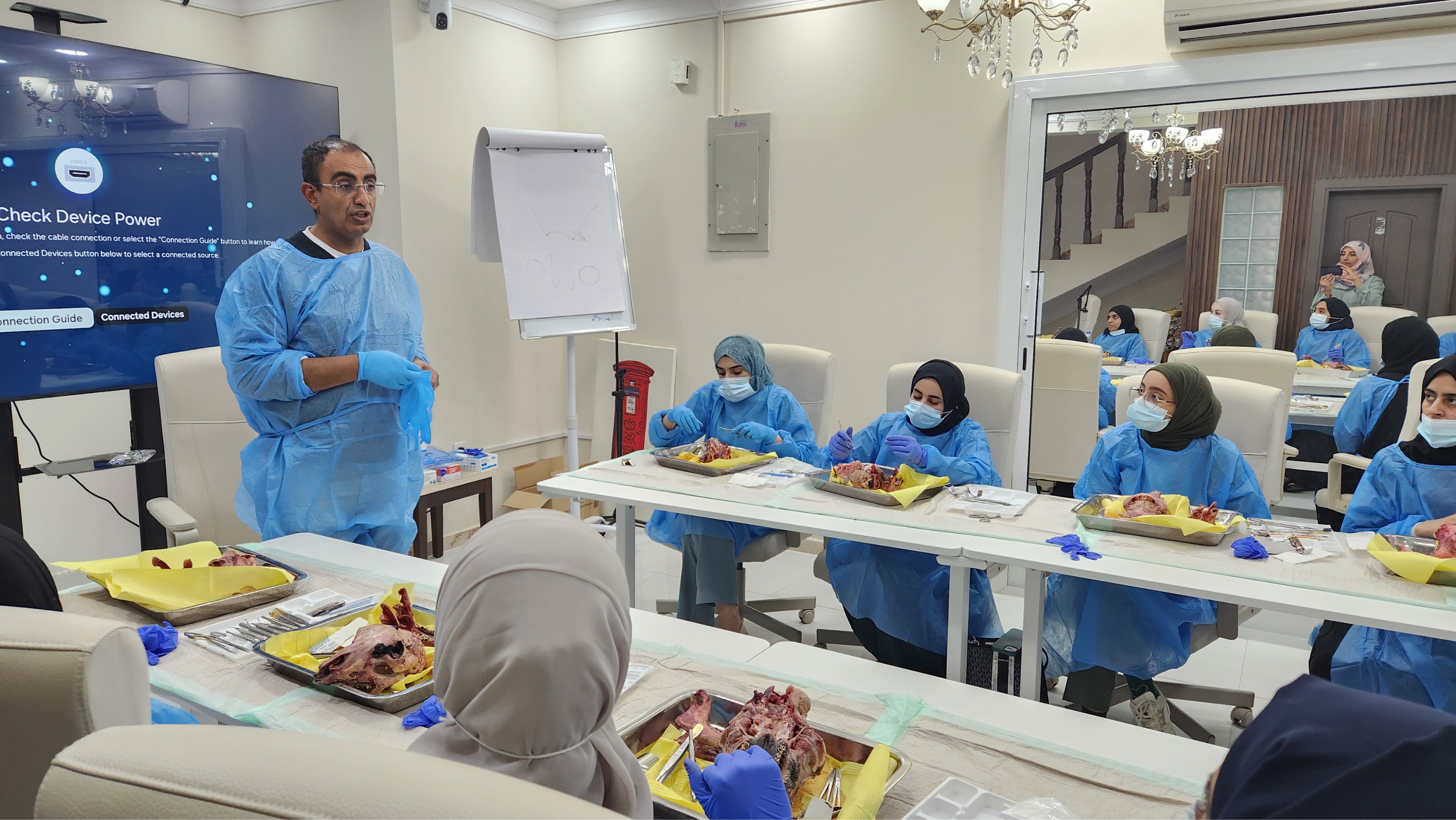 Cosmetic & functional periodontal laser  and surgical training:   a 2 day Hands-on masterclass